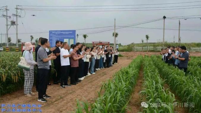 1761557620854264.png 图片1.png