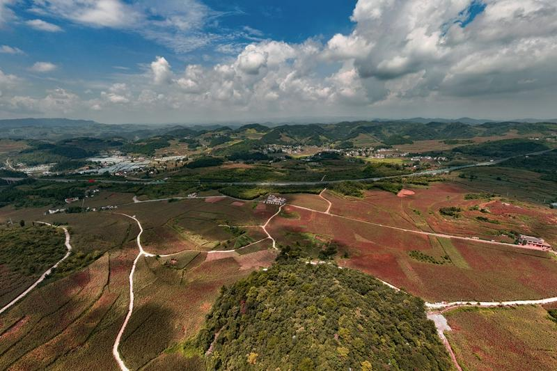 1761557780889606.png 1761557780889606.png