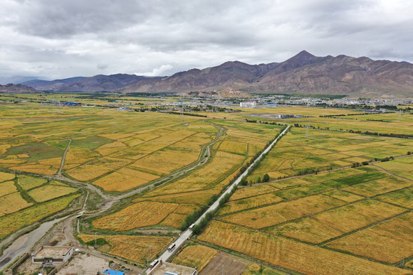 1571380497137059.png 图片1.png