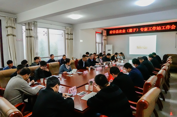 1573096987497060.png 图片1.png