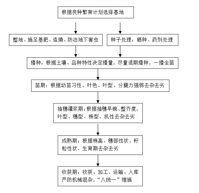 1583289227802177.jpeg 222222.jpg