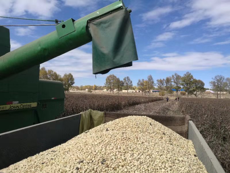 1584347731820581.jpeg 1584347731820581.jpeg