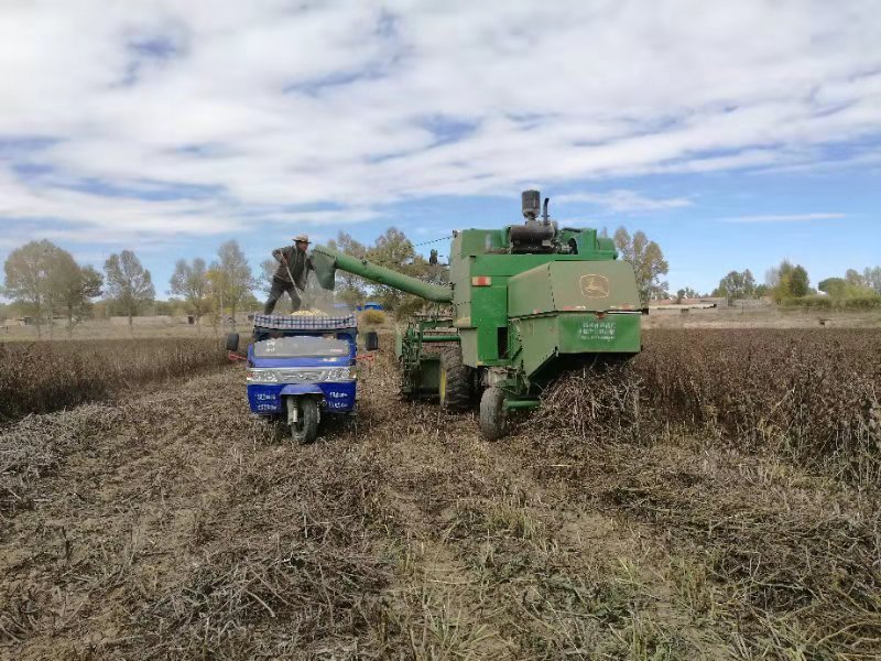 1584347806537491.jpeg 1584347806537491.jpeg