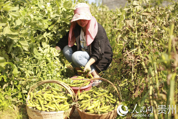 1591601956908388.png 图片7.png