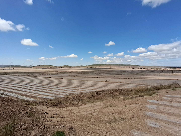 1591602039787374.png 图片8.png