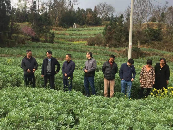 1616391280945616.png 图片14.png