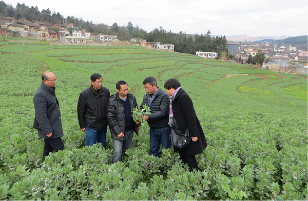 1616391288129372.png 图片15.png