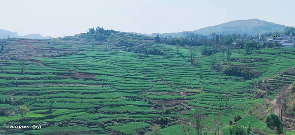 1616391300640833.png 图片16.png