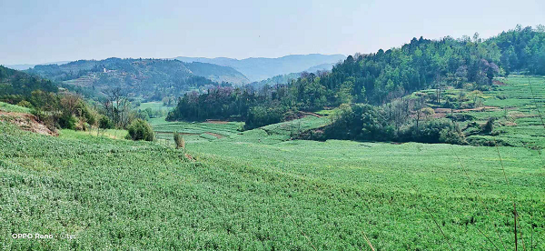 1616391308695550.png 图片17.png