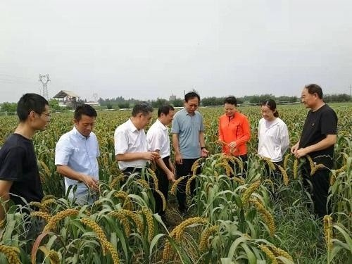 1629807447398817.png 图片4.png