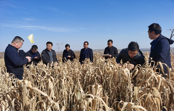 1636676708811970.png 图片3.png