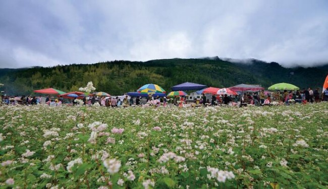 1636676782574998.png 图片4.png