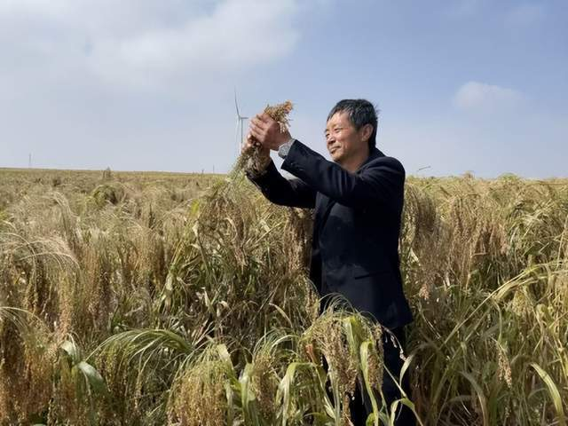 1666142362823623.png 图片4.png