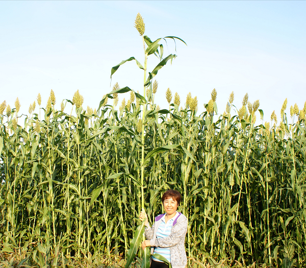 1668559600123043.png 图片12.png