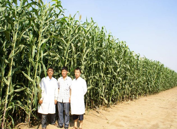 1668559611111122.png 图片13.png