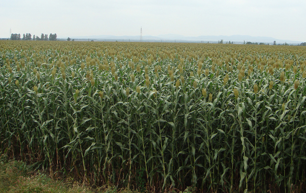 1668559623174929.png 图片14.png