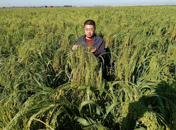 1678859734297776.png 图片2.png