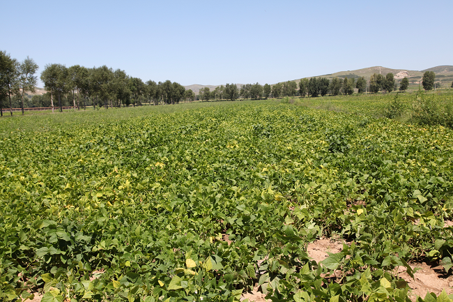 1679924564472398.png 图片2.png