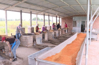 1699489956527441.png 图片 4.png