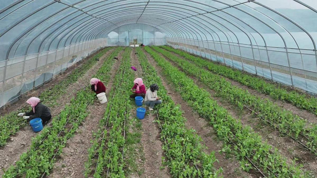 1748917797741062.png 图片8.png