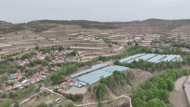 1748917805657881.png 图片9.png